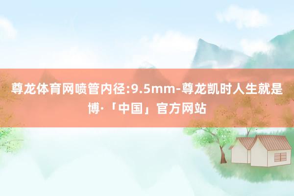 尊龙体育网喷管内径:9.5mm-尊龙凯时人生就是博·「中国」官方网站