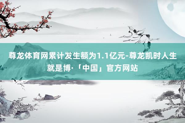 尊龙体育网累计发生额为1.1亿元-尊龙凯时人生就是博·「中国」官方网站