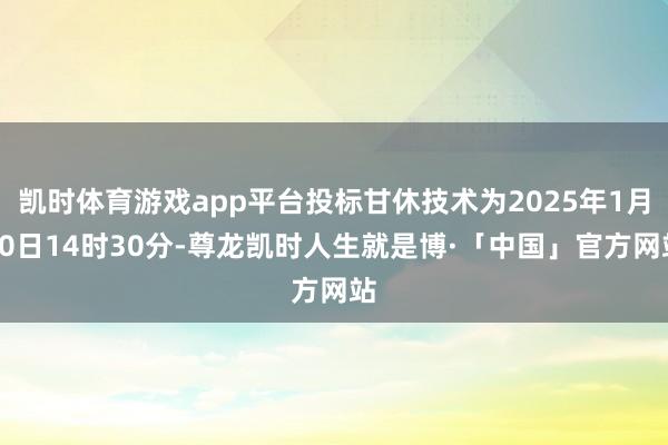 凯时体育游戏app平台投标甘休技术为2025年1月20日14时30分-尊龙凯时人生就是博·「中国」官方网站