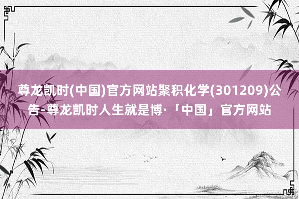 尊龙凯时(中国)官方网站聚积化学(301209)公告-尊龙凯时人生就是博·「中国」官方网站