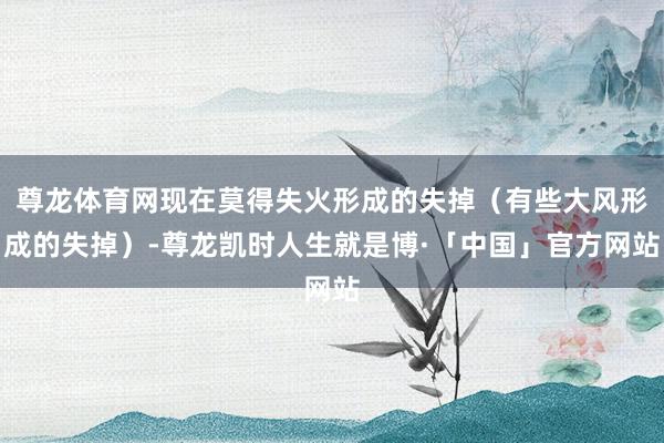 尊龙体育网现在莫得失火形成的失掉（有些大风形成的失掉）-尊龙凯时人生就是博·「中国」官方网站