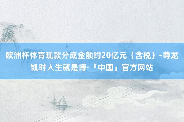欧洲杯体育现款分成金额约20亿元（含税）-尊龙凯时人生就是博·「中国」官方网站