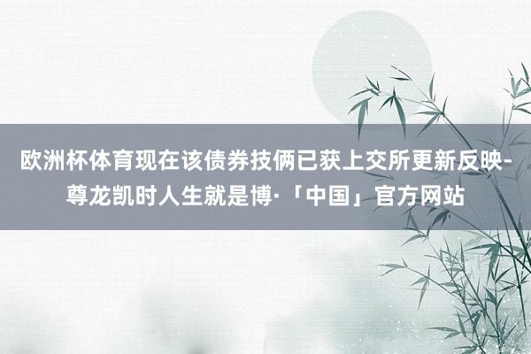 欧洲杯体育现在该债券技俩已获上交所更新反映-尊龙凯时人生就是博·「中国」官方网站
