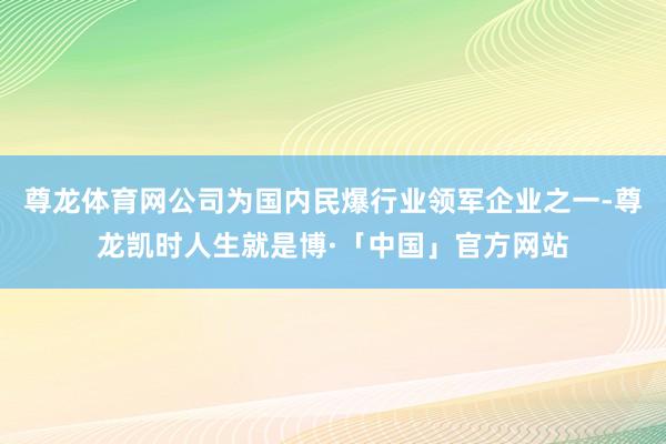 尊龙体育网公司为国内民爆行业领军企业之一-尊龙凯时人生就是博·「中国」官方网站