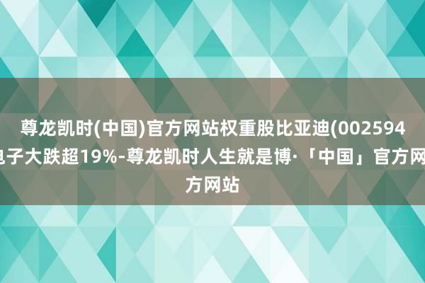 尊龙凯时(中国)官方网站权重股比亚迪(002594)电子大跌超19%-尊龙凯时人生就是博·「中国」官方网站