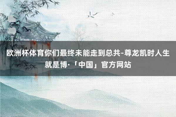 欧洲杯体育你们最终未能走到总共-尊龙凯时人生就是博·「中国」官方网站