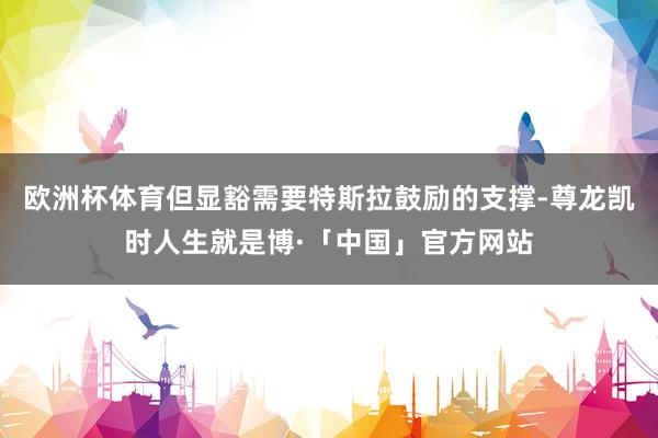 欧洲杯体育但显豁需要特斯拉鼓励的支撑-尊龙凯时人生就是博·「中国」官方网站