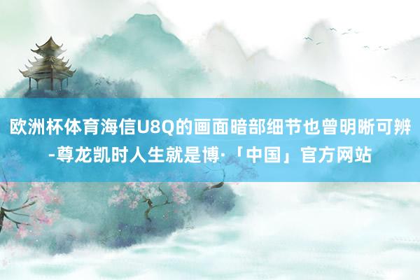 欧洲杯体育海信U8Q的画面暗部细节也曾明晰可辨-尊龙凯时人生就是博·「中国」官方网站