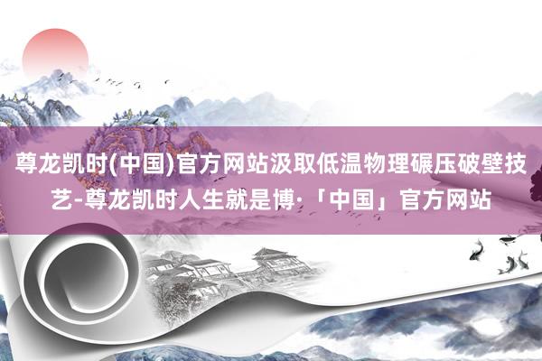 尊龙凯时(中国)官方网站汲取低温物理碾压破壁技艺-尊龙凯时人生就是博·「中国」官方网站