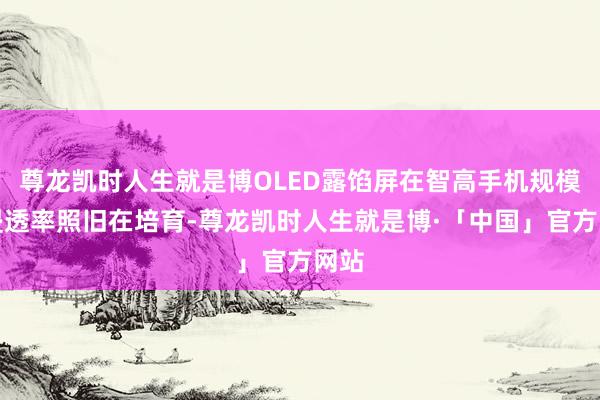 尊龙凯时人生就是博OLED露馅屏在智高手机规模的浸透率照旧在培育-尊龙凯时人生就是博·「中国」官方网站