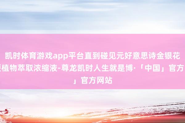 凯时体育游戏app平台直到碰见元好意思诗金银花桔梗植物萃取浓缩液-尊龙凯时人生就是博·「中国」官方网站