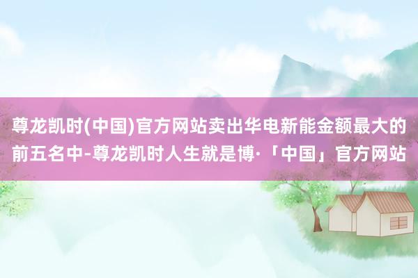尊龙凯时(中国)官方网站卖出华电新能金额最大的前五名中-尊龙凯时人生就是博·「中国」官方网站