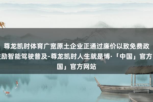 尊龙凯时体育广宽原土企业正通过廉价以致免费政策鼓励智能驾驶普及-尊龙凯时人生就是博·「中国」官方网站