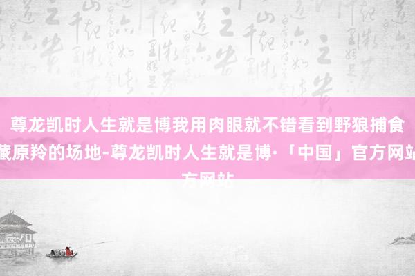 尊龙凯时人生就是博我用肉眼就不错看到野狼捕食藏原羚的场地-尊龙凯时人生就是博·「中国」官方网站
