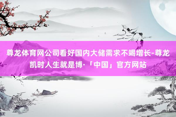 尊龙体育网公司看好国内大储需求不竭增长-尊龙凯时人生就是博·「中国」官方网站