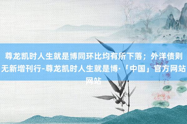 尊龙凯时人生就是博同环比均有所下落；外洋债则无新增刊行-尊龙凯时人生就是博·「中国」官方网站