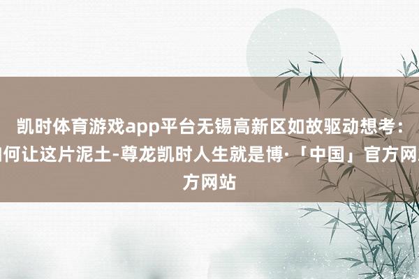 凯时体育游戏app平台无锡高新区如故驱动想考:如何让这片泥土-尊龙凯时人生就是博·「中国」官方网站