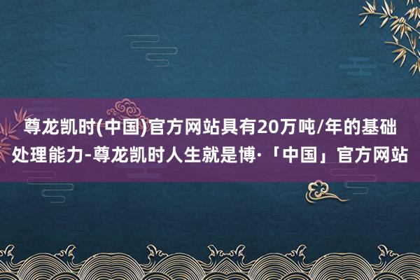 尊龙凯时(中国)官方网站具有20万吨/年的基础处理能力-尊龙凯时人生就是博·「中国」官方网站