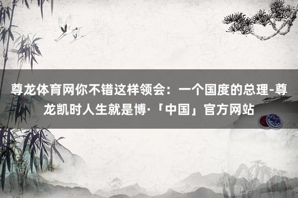 尊龙体育网你不错这样领会：一个国度的总理-尊龙凯时人生就是博·「中国」官方网站