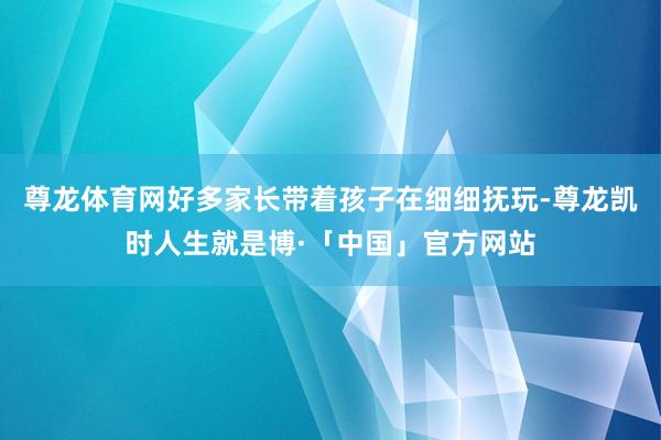 尊龙体育网好多家长带着孩子在细细抚玩-尊龙凯时人生就是博·「中国」官方网站